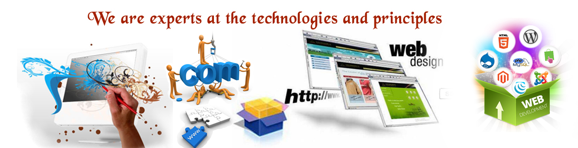 NP Soft Technology Portfolio